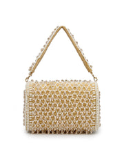 Anekaant Crystal Cascade Champagne Velvet Diamond Mesh Design Embellished Clutch