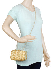 Ethnique Embroidered Party Clutch