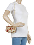 Ethnique Embroidered Party Clutch