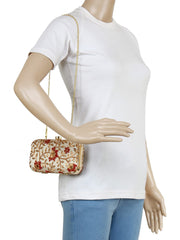 Ethnique Embroidered Party Clutch