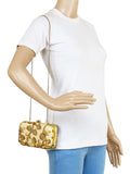 Ethnique Embroidered Party Clutch