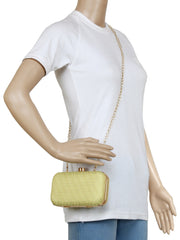 Tulle Raw Silk Fabric Printed Clutch