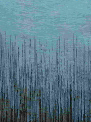 Graphic Viscose Rayon Shawl