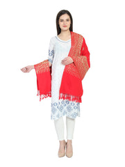 Embroidered Viscose Rayon Shawl